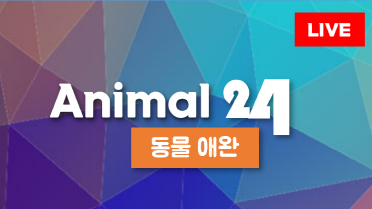 방송사 로고